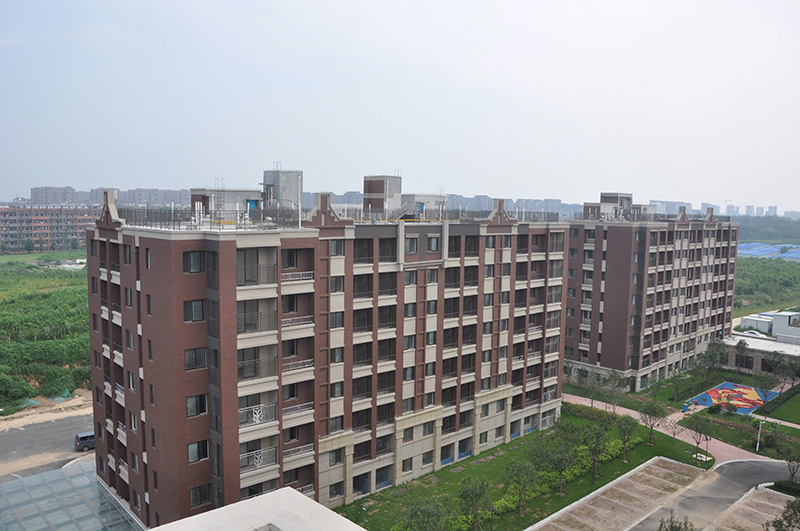 保利海上五月花玫瑰園項(xiàng)目